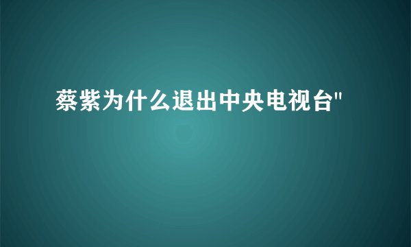 蔡紫为什么退出中央电视台