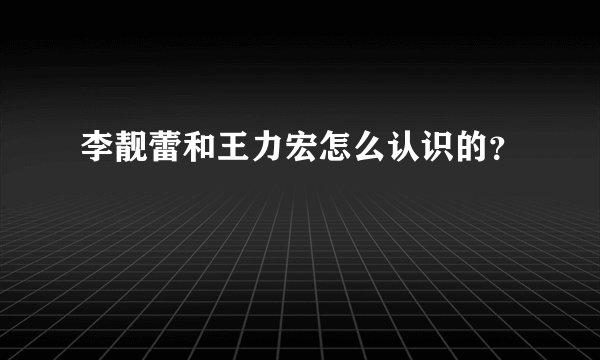 李靓蕾和王力宏怎么认识的？