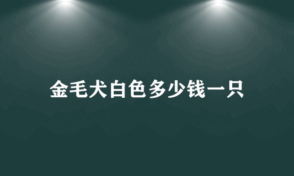 金毛犬白色多少钱一只