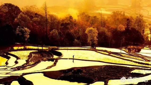 国内有哪些地方被誉为是“摄影人的天堂”?