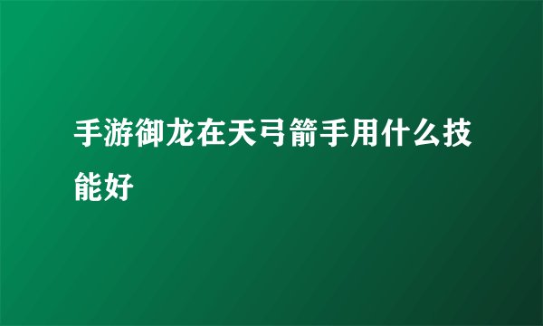 手游御龙在天弓箭手用什么技能好