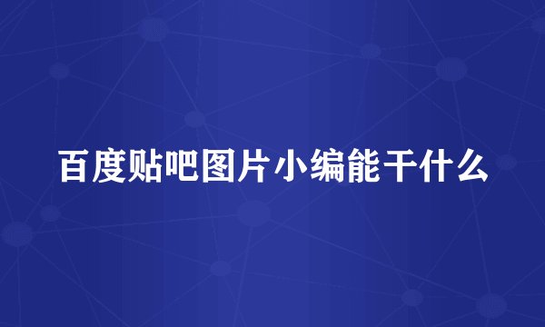 百度贴吧图片小编能干什么