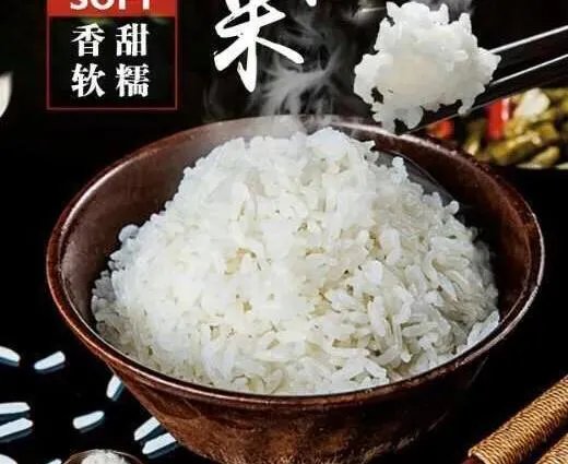 美食摄影。东北稻田米,如何拍摄出“颗颗饱满粒粒香”的效果?