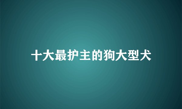十大最护主的狗大型犬
