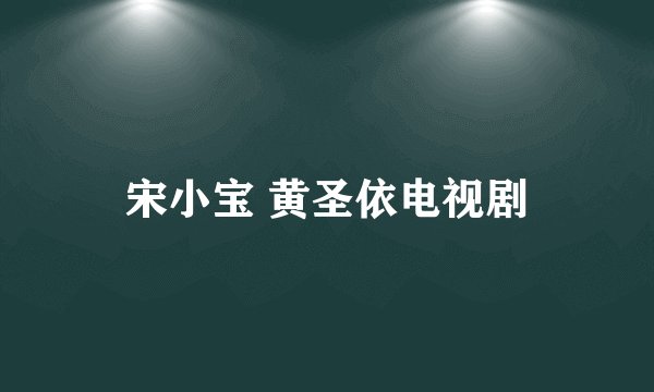宋小宝 黄圣依电视剧