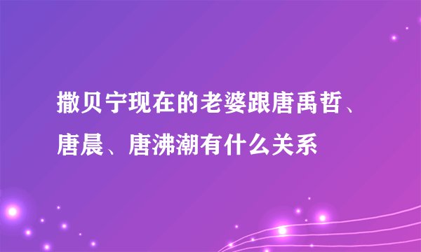 撒贝宁现在的老婆跟唐禹哲、唐晨、唐沸潮有什么关系