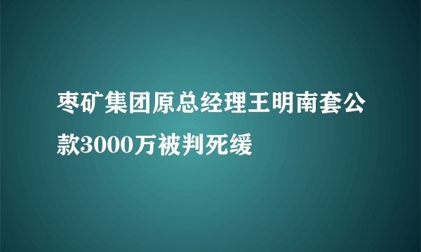 枣矿集团原总经理王明南套公款3000万被判死缓