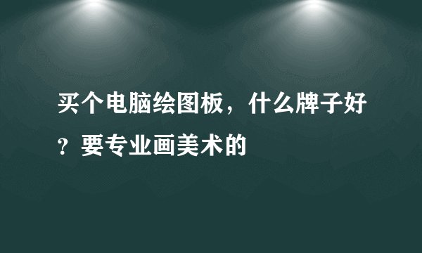 买个电脑绘图板，什么牌子好？要专业画美术的