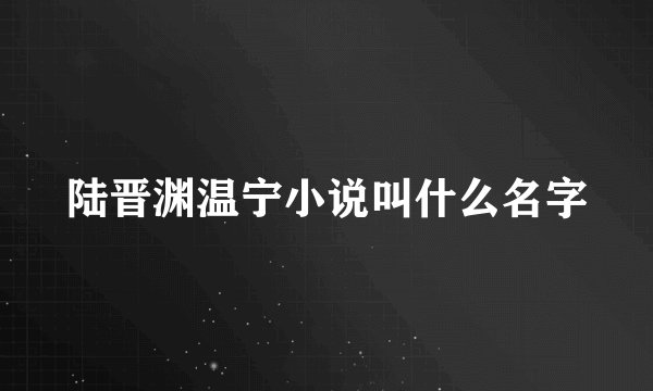 陆晋渊温宁小说叫什么名字