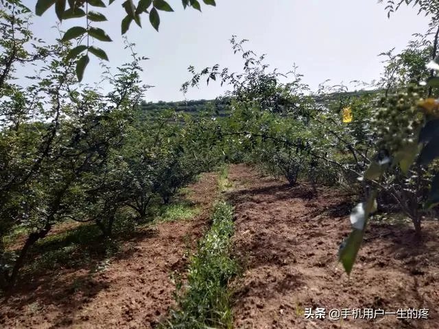 想听听你遇到过最难的事?是怎么度过的?
