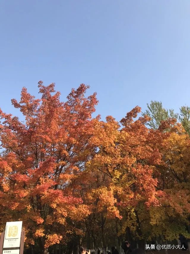 刚看完skt和g2的比赛,感觉lpl已经凉了一半了,你怎么看