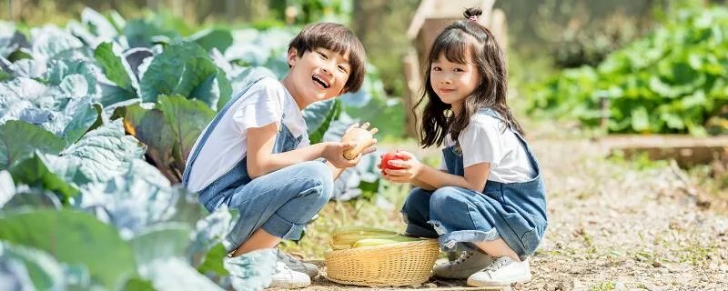 汽车儿童票购买标准 汽车儿童票的购买标准