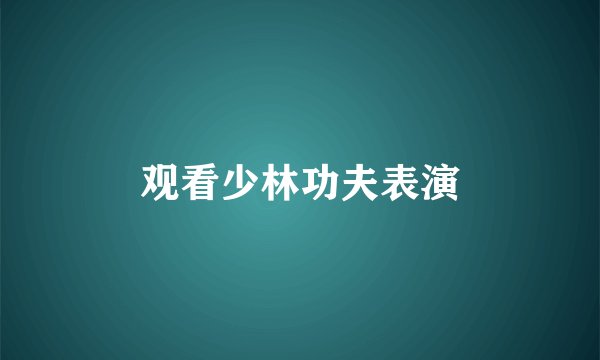观看少林功夫表演