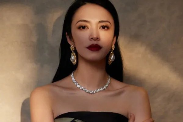 一场现实的狗血渣男渣女故事,凌潇肃与姚晨离婚的真相到底是什么?