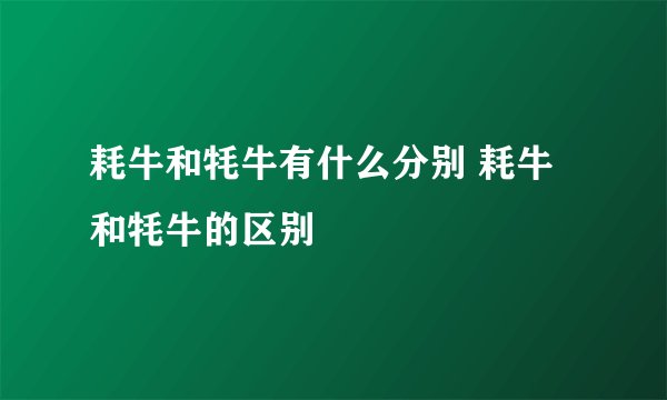耗牛和牦牛有什么分别 耗牛和牦牛的区别