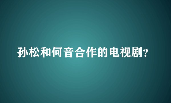 孙松和何音合作的电视剧？