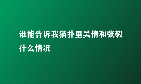 谁能告诉我猫扑里吴倩和张毅什么情况