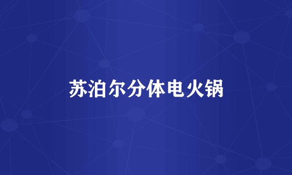 苏泊尔分体电火锅