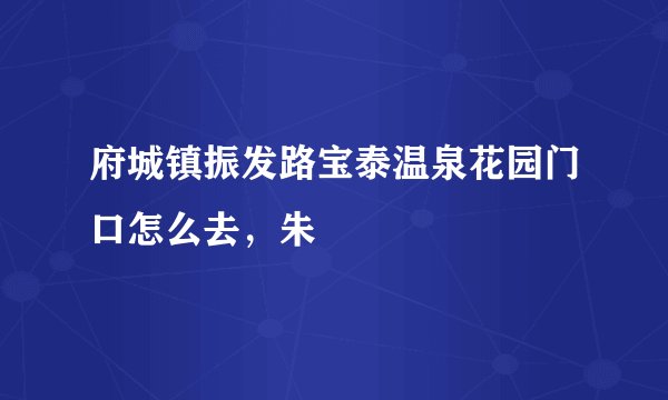 府城镇振发路宝泰温泉花园门口怎么去，朱