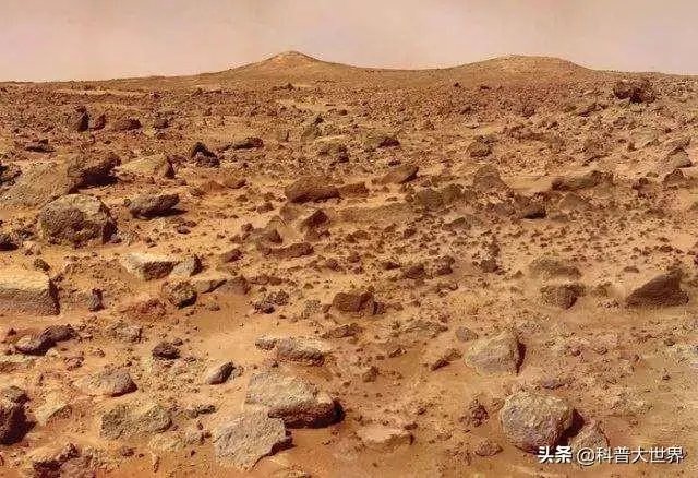 昆虫学家声称在火星上有重大发现,其理由是否充分?