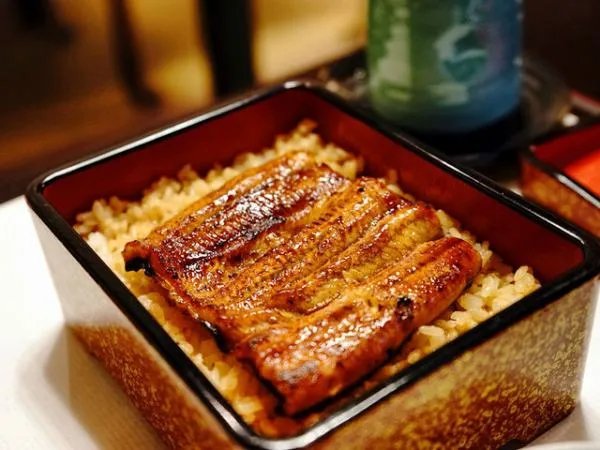 日本鳗鱼价格上涨超三成,导致其涨价的原因是什么?
