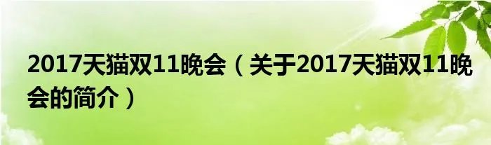 2017天猫双11晚会（关于2017天猫双11晚会的简介）