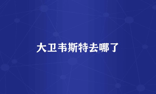 大卫韦斯特去哪了