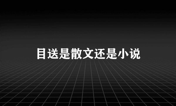 目送是散文还是小说