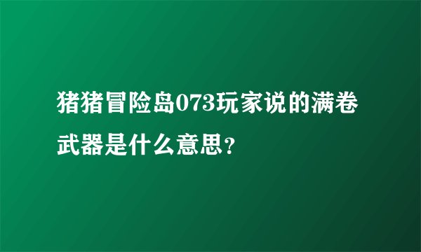 猪猪冒险岛073玩家说的满卷武器是什么意思？