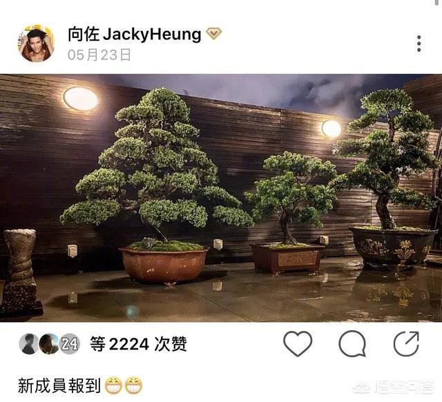 6月17日郭碧婷腹部隆起似皮球被猜测怀孕,为什么明星生子这么多人关注?