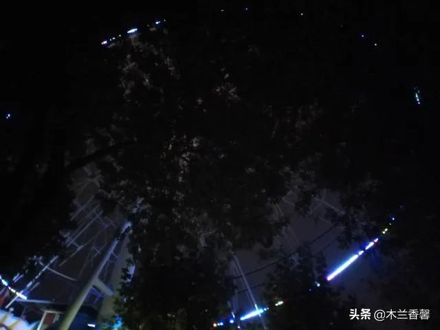 生活摄影艺术