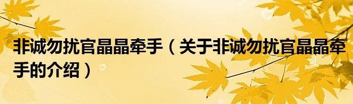 非诚勿扰官晶晶牵手（关于非诚勿扰官晶晶牵手的介绍）