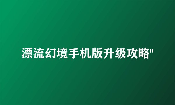 漂流幻境手机版升级攻略