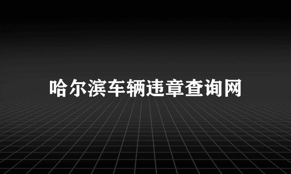 哈尔滨车辆违章查询网