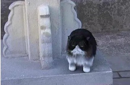 甄嬛传里有哪些穿帮镜头?