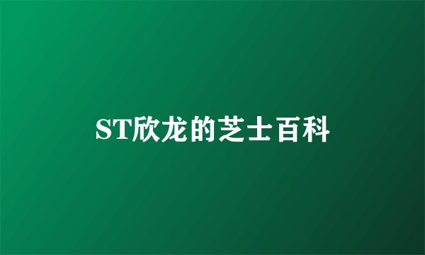 ST欣龙的芝士百科