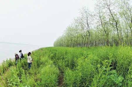 湖南宁乡县都设市了,长沙县改区为什么推动不了?