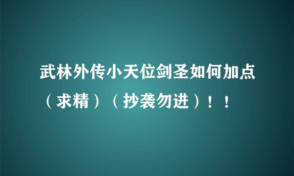 武林外传小天位剑圣如何加点(求精)(抄袭勿进)!!