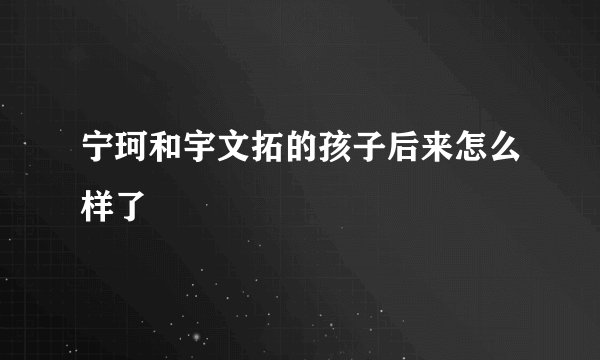 宁珂和宇文拓的孩子后来怎么样了