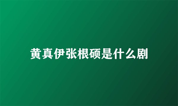 黄真伊张根硕是什么剧