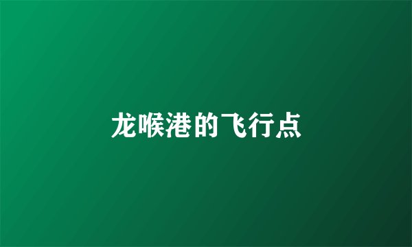 龙喉港的飞行点