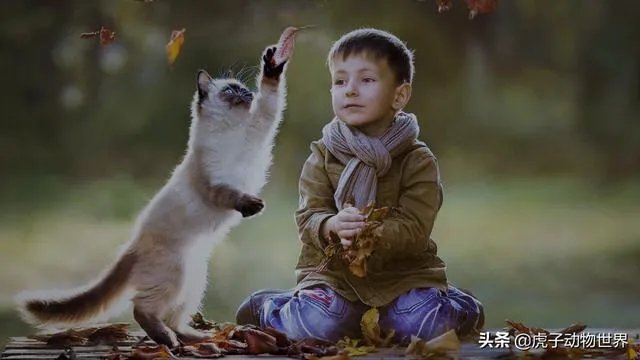新手如何学习摄影？
