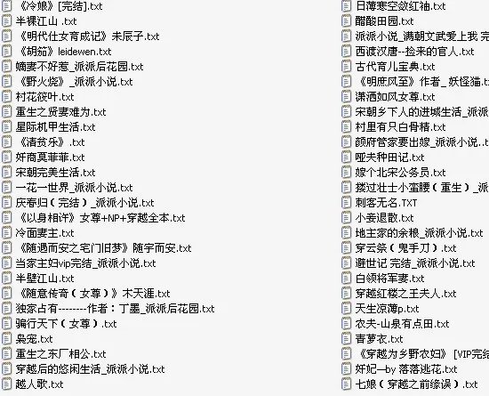 好看的穿越小说完整版txt 多多益善
