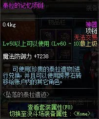 DNF泰拉的记忆首饰介绍 全属性效果展示