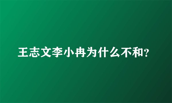 王志文李小冉为什么不和？