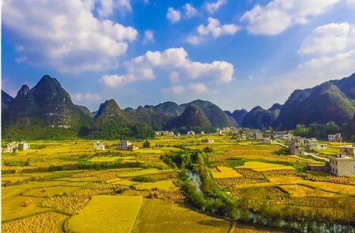 尿毒症男子包下60亩地自救，他自强不息的精神感动你了吗？