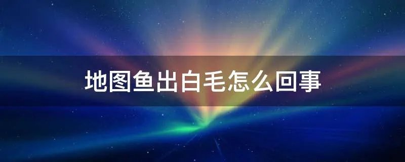 地图鱼出白毛怎么回事