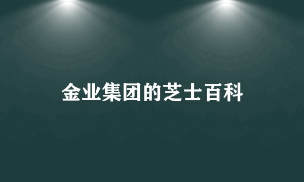 金业集团的芝士百科