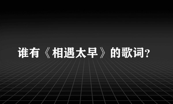 谁有《相遇太早》的歌词？