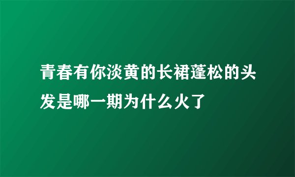 青春有你淡黄的长裙蓬松的头发是哪一期为什么火了